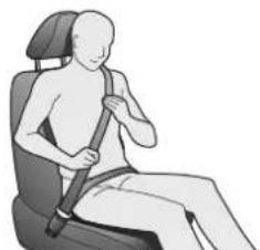 Honda Accord Sedan (2014) - Seat Belts P. 32 - 1
