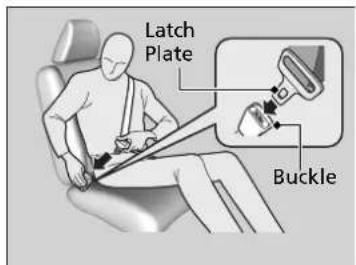 Latch Plate Buckle