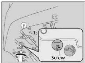 Screw