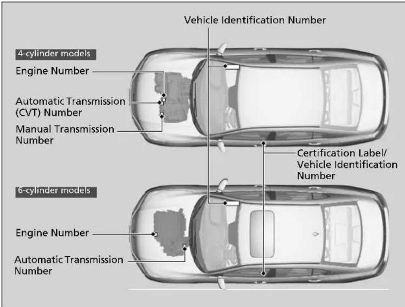 Vehicle Identification Number 4-cylinder models Engine Number Automatic Transmission (CVT) Number Manual Transmission Number 6-cylinder models Engine Number Automatic Transmission Number Certification Label/ Vehicle Identification Number