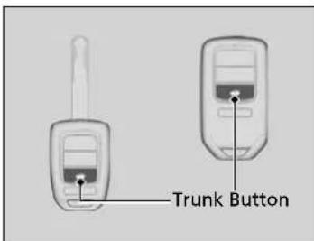 Trunk Button
