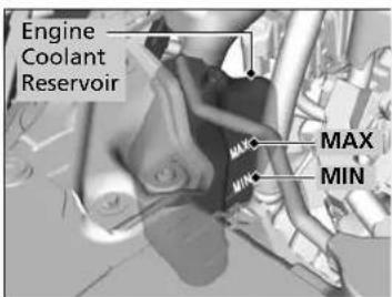 Engine Coolant Reservoir MAX MIN