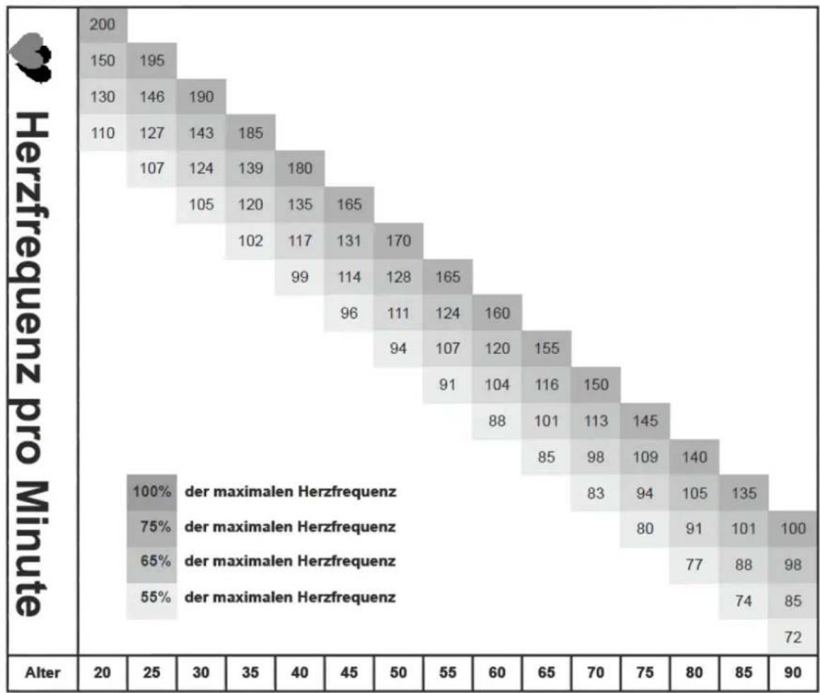 Maxxus Core-X 8.9 - Kalkulaon der individuellen Trainingsherzfrequenz - 1