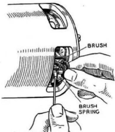 BRUSH BRUSH SPRING