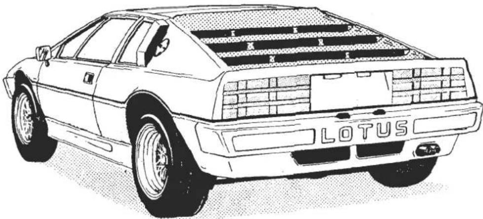 Line drawing of a classic lotus car back view showing front grille and license plate (no text or symbols on body)