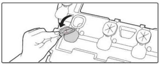 SHARP MX-3501N - 5 - 1