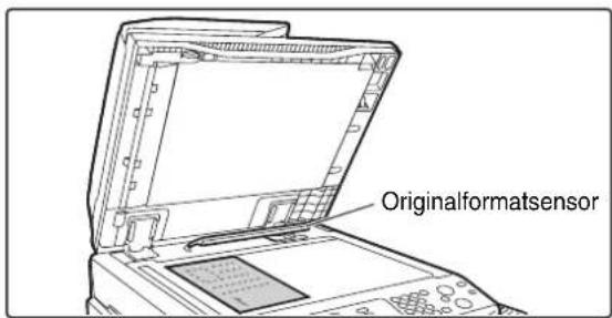 Originalformatsensor