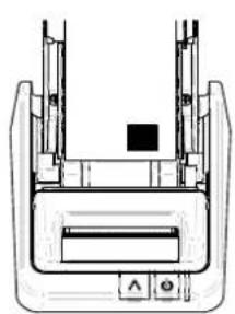 SEIKO 650SE - Load the Roll of Labels - 4