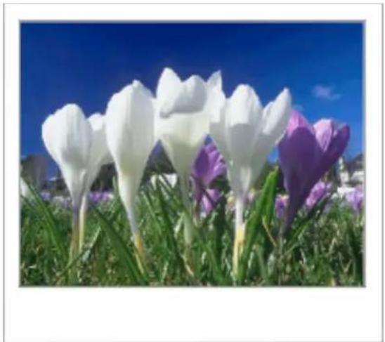 POLAROID ColorShot - CONFIGURE THE DRIVER (CONT.) - 2