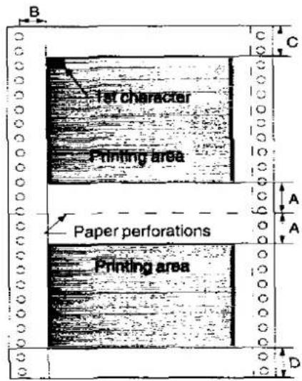 B C 1st character Printing area Paper perforations Printing area A A D
