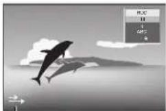 Dolphin leaping out of a cloudy sky with directional arrows (no text or symbols)
