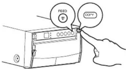 FEED COPY