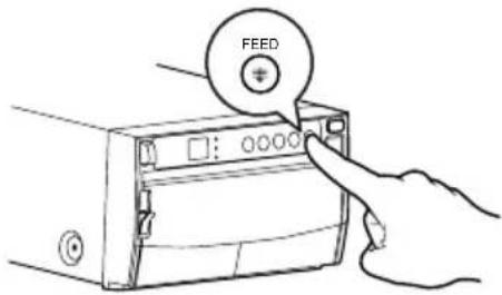 FEED