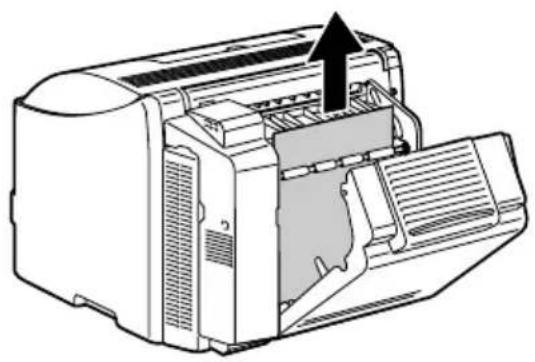 KONICA MINOLTA magicolor 2430 DL - Fehleinzug aus der optionalen Duplexeinheit beseitigen - 3