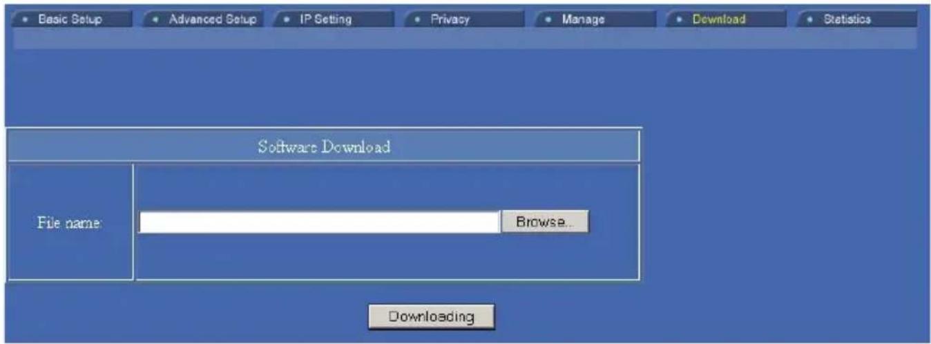 Basic Setup Advanced Setup IP Setting Privacy Manage Download Statistics Software Download File name Browse... Downloading