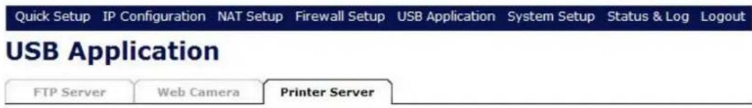 Quick Setup IP Configuration NAT Setup Firewall Setup USB Application System Setup Status & Log Logout USB Application FTP Server Web Camera Printer Server