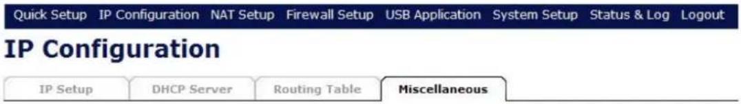 Quick Setup IP Configuration NAT Setup Firewall Setup USB Application System Setup Status & Log Logout IP Configuration IP Setup DHCP Server Routing Table Miscellaneous