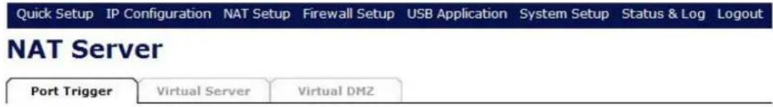 Quick Setup IP Configuration NAT Setup Firewall Setup USB Application System Setup Status & Log Logout NAT Server Port Trigger Virtual Server Virtual DMZ