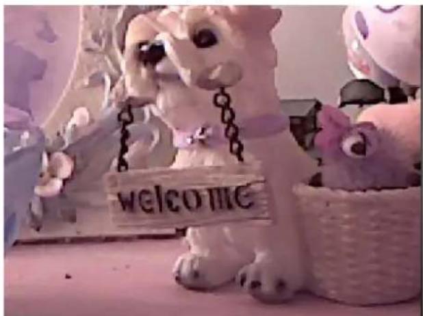 welcome