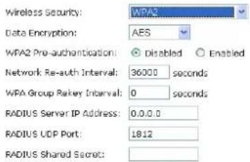 Wireless Security: WPA2 Data Encryption: AES WPA2 Pre-authentication: Disabled Enabled Network Re-auth Interval: 36000 seconds WPA Group Relay Interval: 0 seconds RADIUS Server IP Address: 0.0.0.0 RADIUS UDP Port: 1812 RADIUS Shared Secret:
