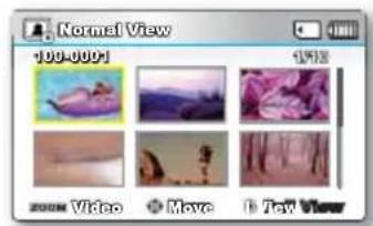 Normale weergave 100-0001 1738 2008 Video Verplaatsen Topweergave