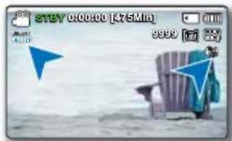 STAY 0:00:00 [475Min] 9999 1.6x