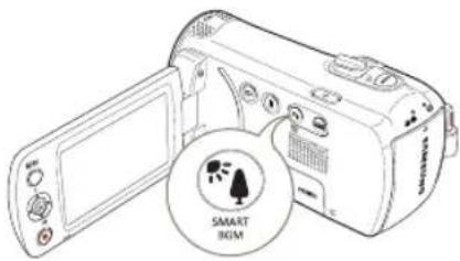 SAMSUNG HMX-F800SP - VERWENDEN DER SMART BGM (SMART HGM) FUNKTION - 2
