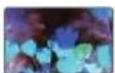 SAMSUNG HMX-F800SP - Beispiel 7 digitaler Optionen - 4
