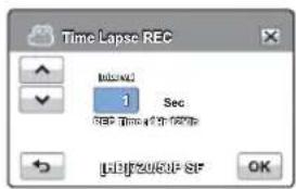 Time Lapse REC 0.0000 1 Sec 0.0000 0.0000 0.0000 LBP20/0F SF OK