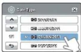 Date Type 2011/01/01 JAN-01/2011 01/JAN-2011 01/01/2011