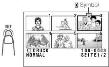 SET Symbol 1 2 3 4 5 6 DRUCK NORMAL 100-0003 SEITE1/2