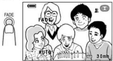 FADE FADE AUTO 30 min