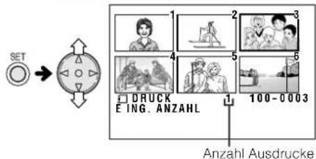 SET DRUCK EING. ANZAHL 100-0003 Anzahl Ausdrucke