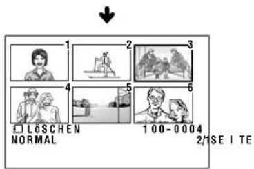 1 2 3 4 5 6 □ LOSCHEN NORMAL 100-0004 2/1 SE I TE
