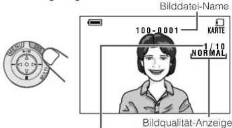 Bilddatei-Name 100-0001 KARTE 1/10 NORMAL Bildqualität-Anzeige
