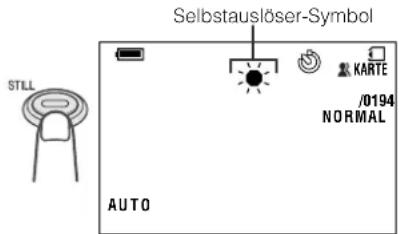 Selbstauslöser-Symbol KARTE /0194 NORMAL AUTO