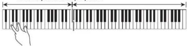 CASIO Celviano AP-6 - Play the chord you want on the chord keyboard (left keyboard keys). - 1