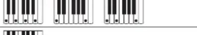 CASIO Celviano AP-6 - NOTA - 10