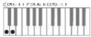 CASIO Celviano AP-6 - ■CASIO CHORD - 3