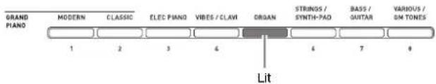 CASIO Celviano AP-6 - Use the 20 to 27 (tone groups) buttons to select the group you want. - 1