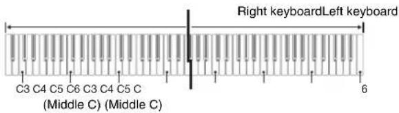 CASIO Celviano AP-6 - Playing a Duet - 1