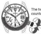 SEIKO 5R65 - CAUTION - 4