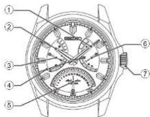 Technical diagram of a wristwatch with numbered parts for identification