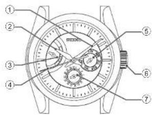 Technical diagram of a wristwatch with numbered parts for identification
