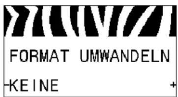 FORMAT UMWANDELN -KEINE +