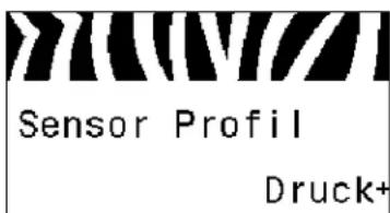 Sensor Profil Druck+