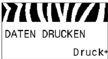 ZEBRA 105SLPlus - Anzeigen des benutzergesteuerten Zählers 2 - 1