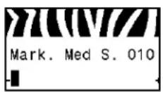 ZEBRA 105SLPlus - Anzeigen der Sensoreinstellungen - 6
