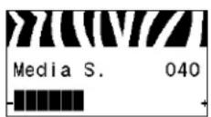ZEBRA 105SLPlus - Anzeigen der Sensoreinstellungen - 2