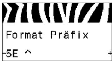 Format Präfix -5E ^ +